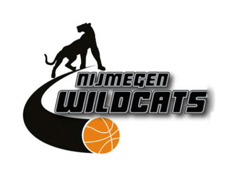 Website Logo