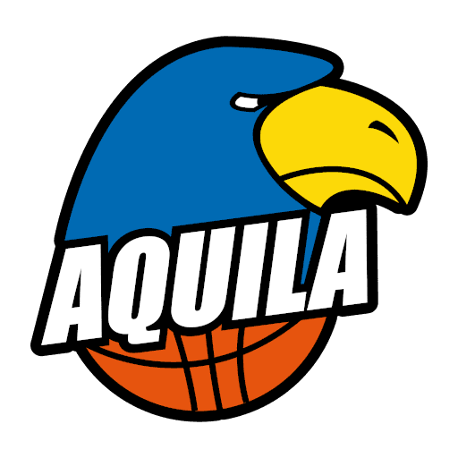 Website Logo