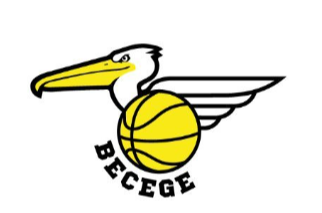 Website Logo
