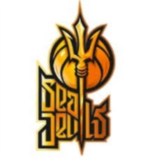 Website Logo